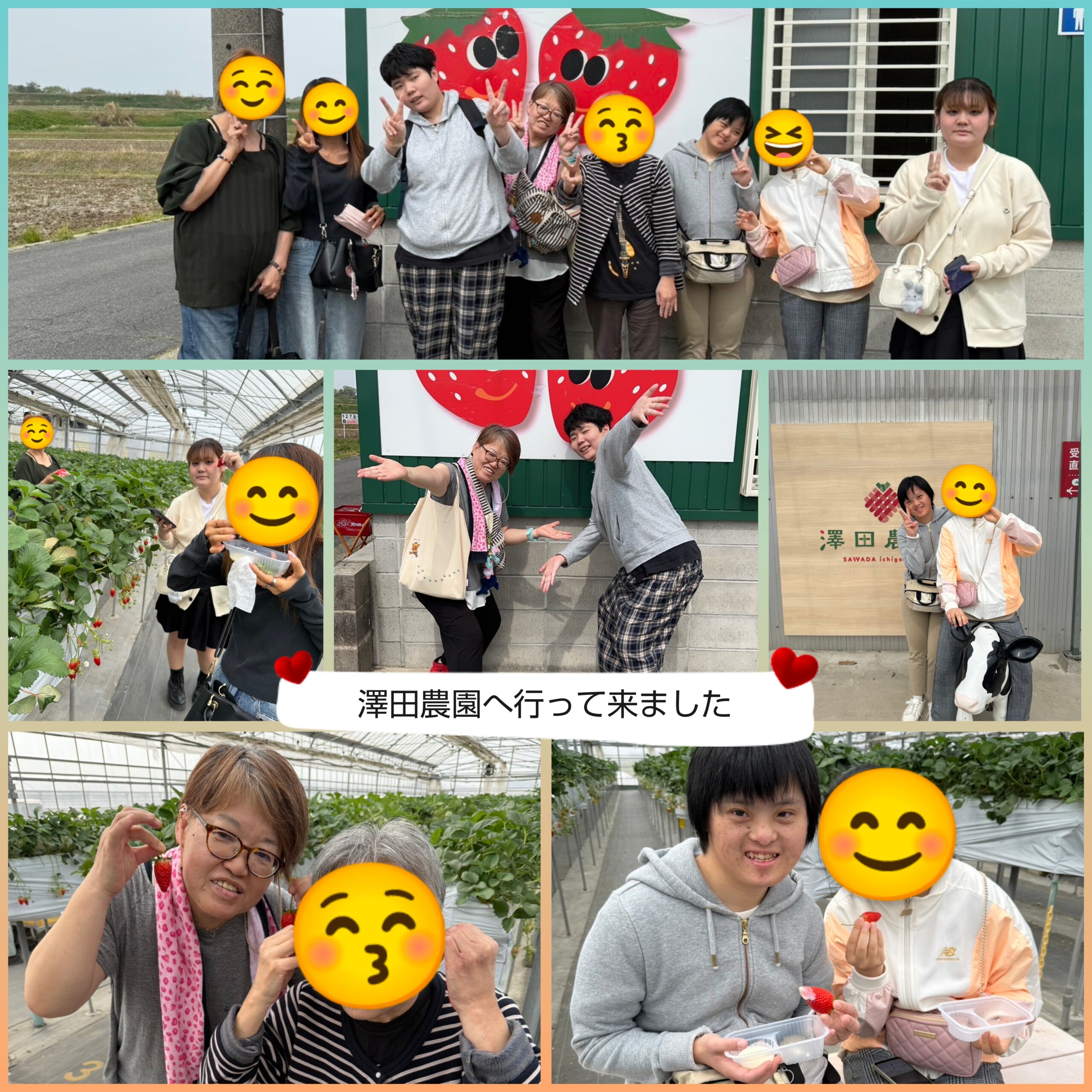 今年もイチゴ狩りに行ってきました！